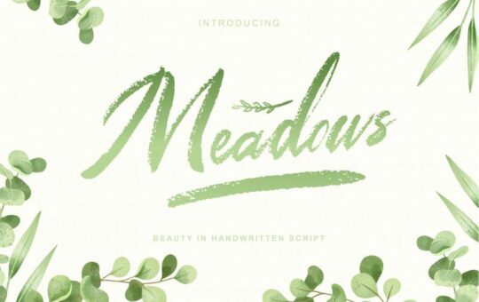Meadows-Script-Font.jpg