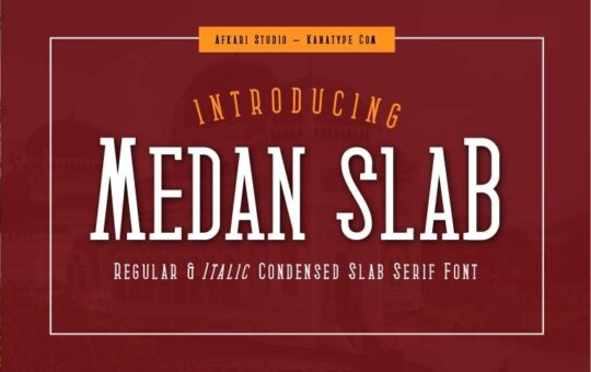 Medan-Slab-Serif-Font-1.jpg