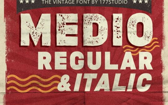 Medio-Vintage-Display-Font-1.jpg