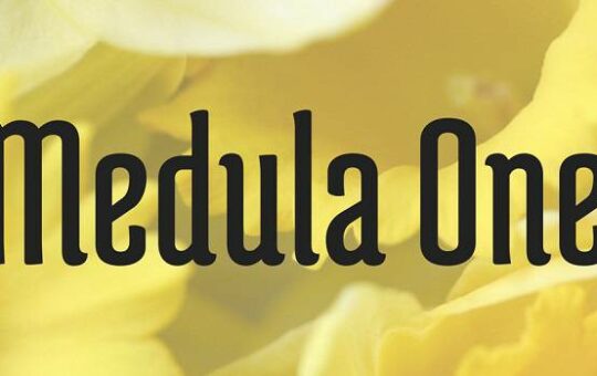 Medula-One-Font.jpg