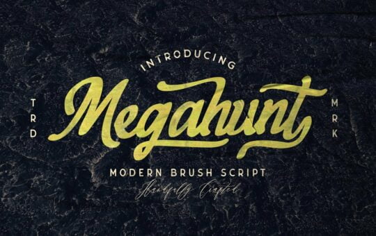 Megahunt-Brush-Script-Font-1.jpg