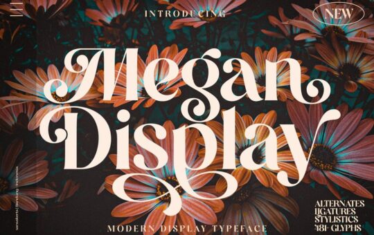 Megan-Serif-Display-Font-1.jpg