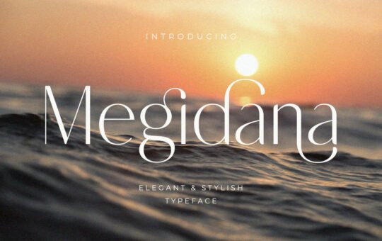 Megidana-Elegant-Sans-Font-1.jpg