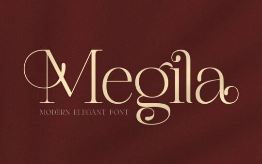 Megila-Modern-Serif-Font-1.jpg