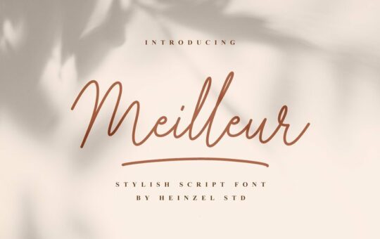 Meilleur-Handwritten-Script-Font.jpg