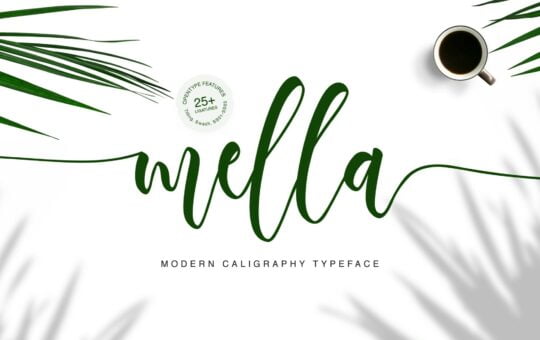 Mella-Modern-Calligraphy-Font-1.jpg