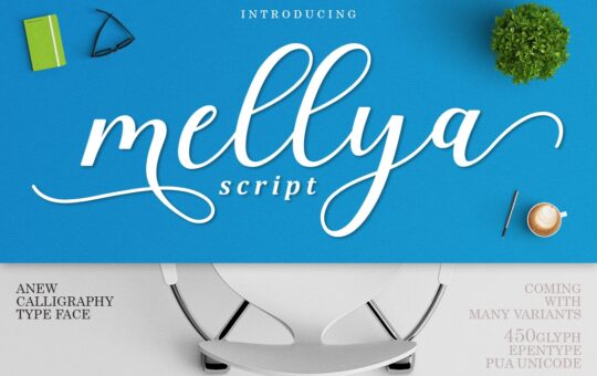 Mellya-Calligraphy-Script-Font-4.jpg