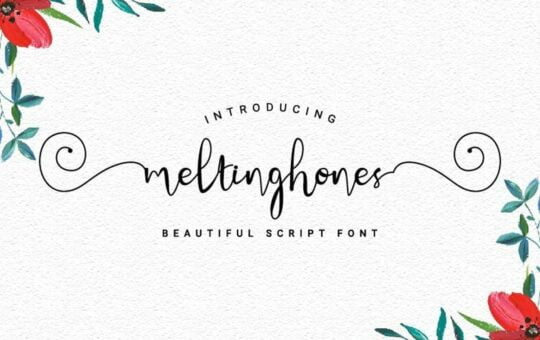 Meltinghones-Calligraphy-Script-Font.jpg