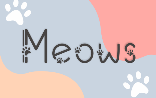 Meows-Fancy-Font-1.png