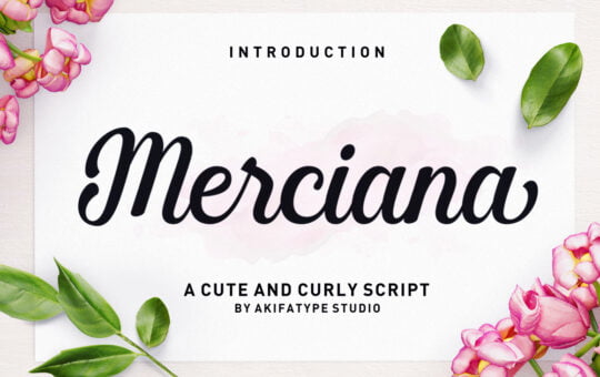 Merciana-Script-Handwritten-Font-1.jpg