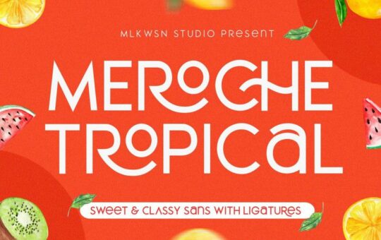Meroche-Sans-Font-Family.jpg