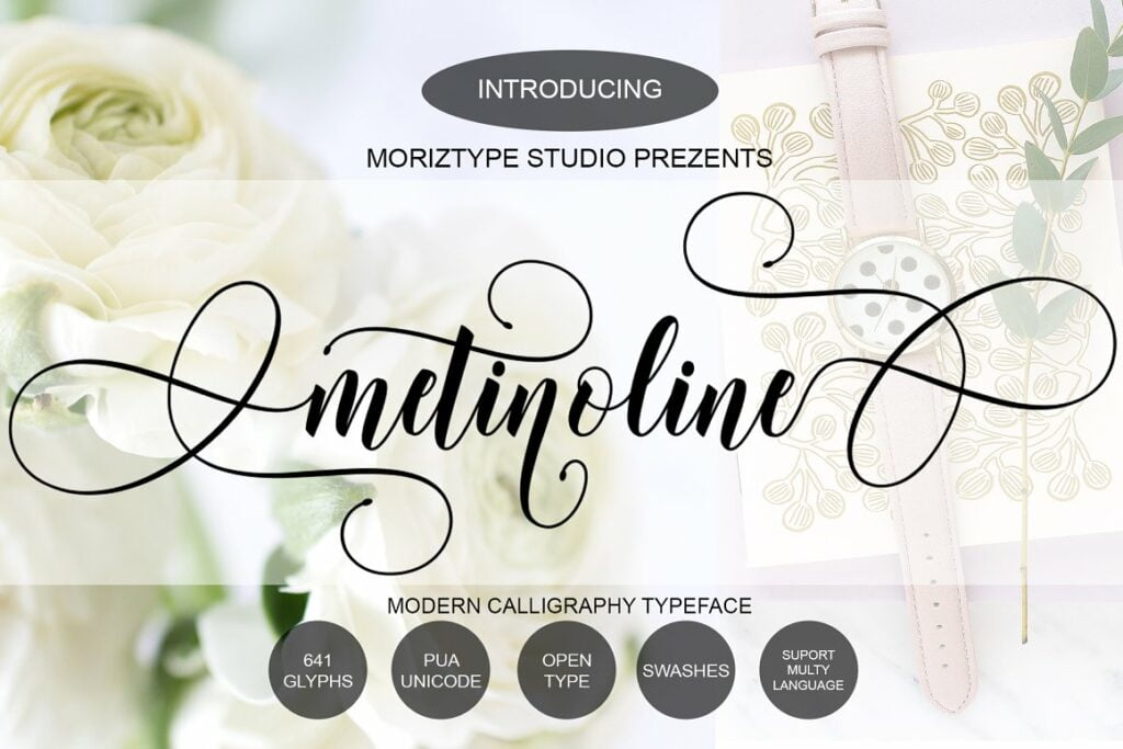 Metinoline-Modern-Calligraphy-Typeface-1.jpg