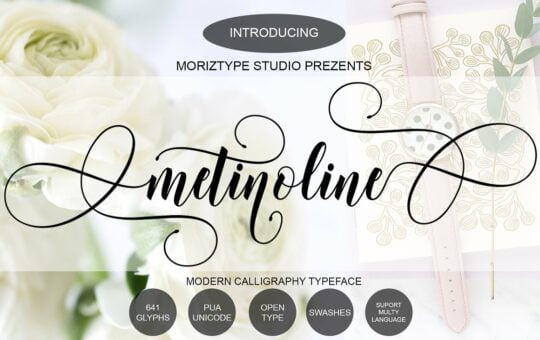 Metinoline-Modern-Calligraphy-Typeface-1.jpg