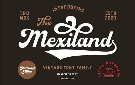 Mexiland-Bold-Script-Font-Duo-1.jpg