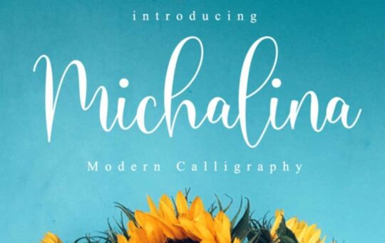 Michalina-Script-Font-1.jpg