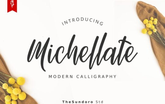 Michellate-Handwritten-Script-Font-1.jpg