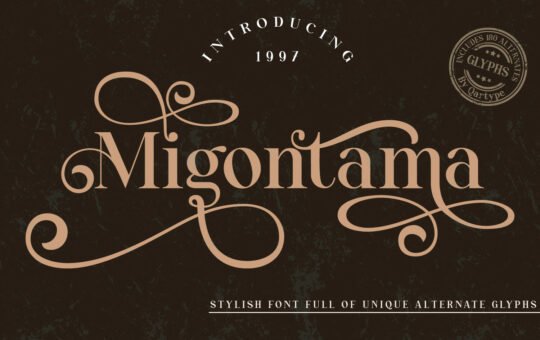 Migontama-Stylish-Serif-Font-1.jpg