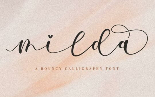 Milda-Bouncy-Calligraphy-Script-Font-1.jpg