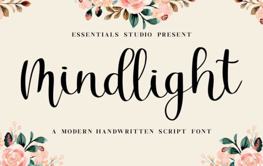 Mindlight-Calligraphy-Font-1.jpg