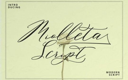 Miolleta-Calligraphy-Font.jpg