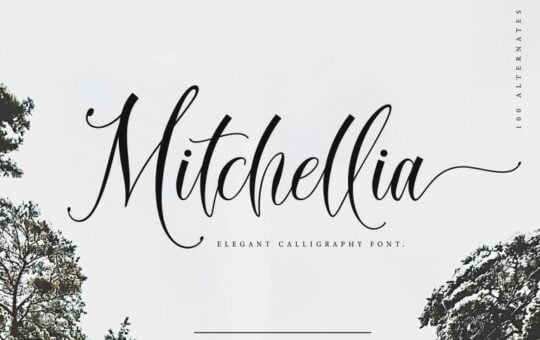 Mitchellia-Script-Font.jpg