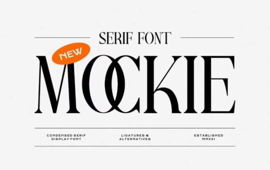Mockie-Modern-Serif-Font-1.jpg