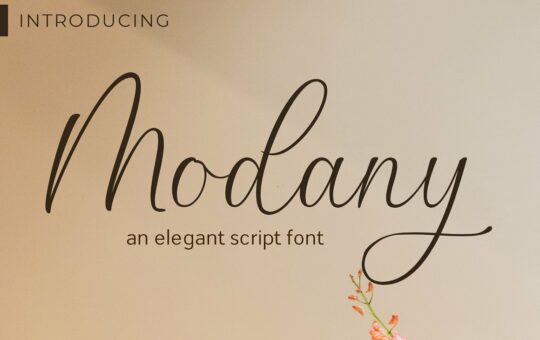 Modany-Font.jpg