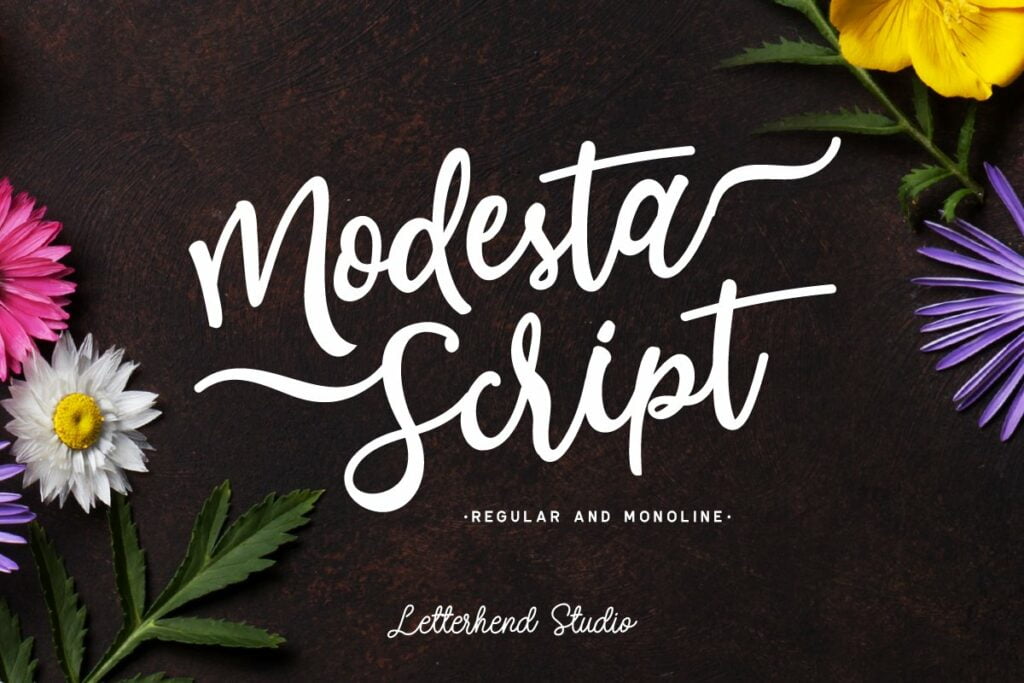 Modesta-Script-Font-duo-1.jpg