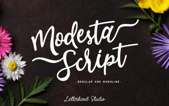 Modesta-Script-Font-duo-1.jpg
