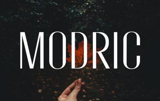 Modric-Sans-Serif-Typeface-1.jpg