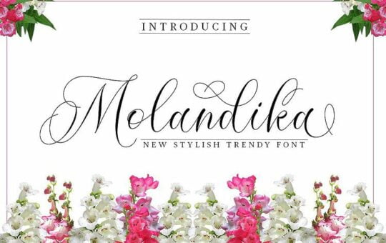 Molandika-Calligraphy-Font.jpg