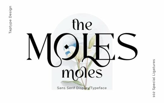 Moles-Font.jpg