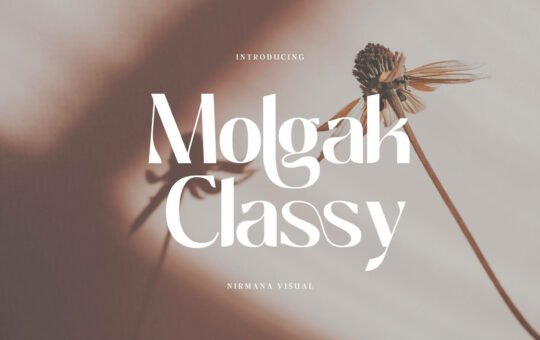 Molgak-Classy-Sans-Serif-Font-1.jpg