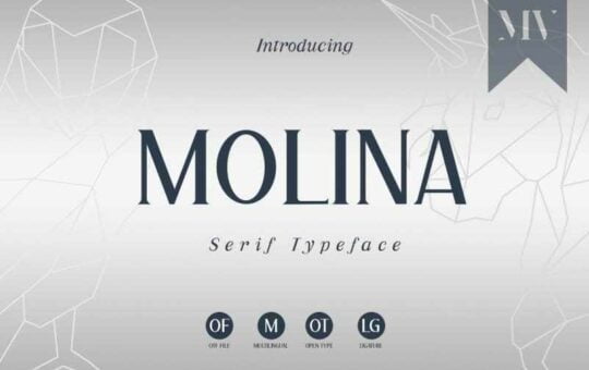 Molina-Serif-Font-1.jpg