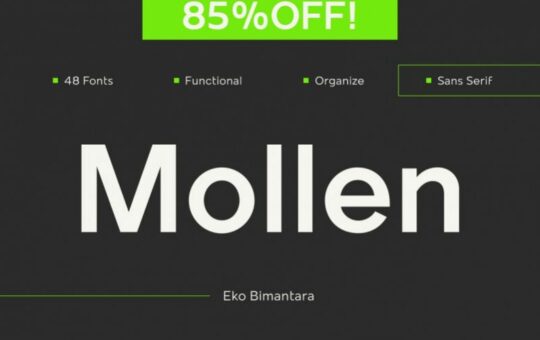 Mollen-Sans-Font.jpg