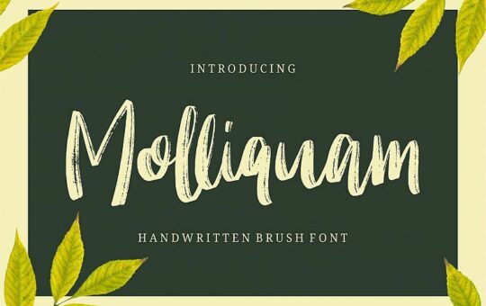 Molliquam-Brush-Font.jpg