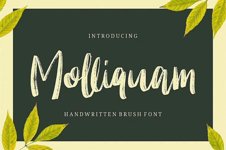 Molliquam-Brush-Font.jpg