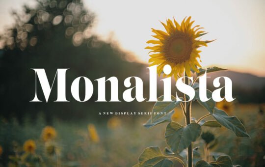Monalista-Modern-Serif-Font-1.jpg