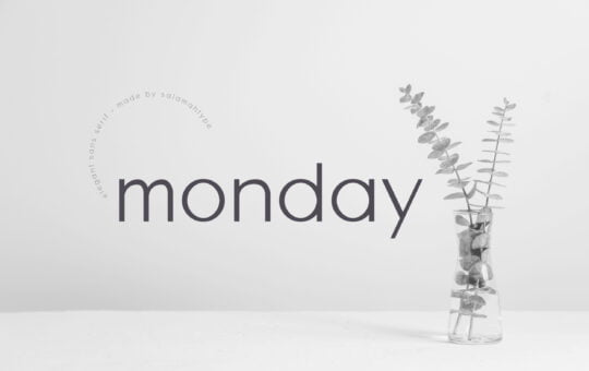 Monday-Sans-Serif-Font-1.jpg