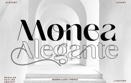 Monea-Alegante-Font.jpg