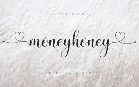 Moneyhoney-Modern-Calligraphy-Script-Font.jpg
