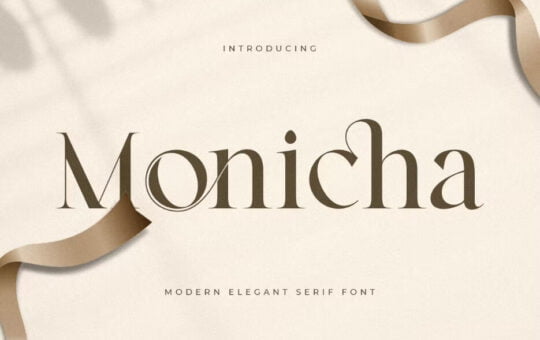 Monica-Modern-Serif-Font-1.jpg