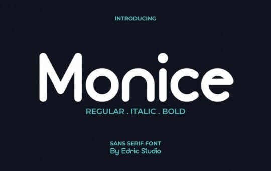 Monice-Sans-Serif-Font-1.jpg