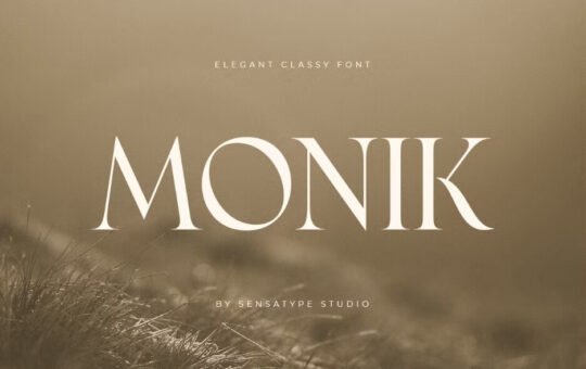Monik-Modern-Serif-Font-1.jpg