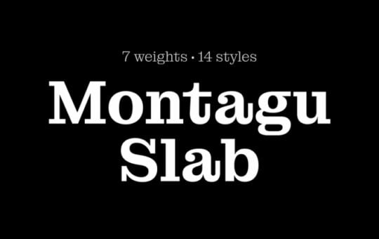 Montagu-Slab-Serif-Font-Family-1.jpg