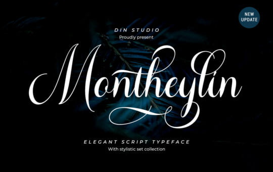 Montheylin-Elegant-Calligraphy-Font-1.jpg