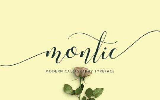 Montic-Script-Font.jpg