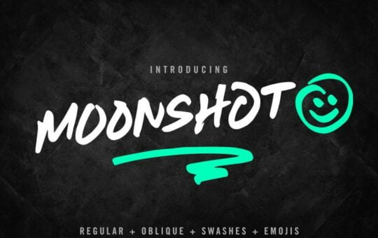 Moonshot-Font-Family.jpg