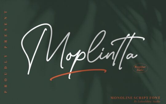 Moplintta-Monoline-Script-Font-1.jpg