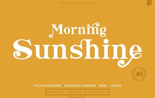 Morning-Sunshine-Modern-Serif-Typeface.jpg